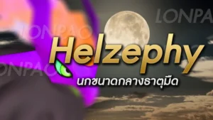 Helzephyr